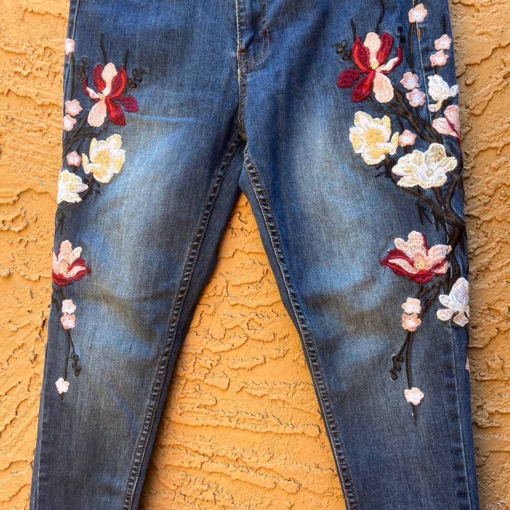 2/$20 Red and Blue Skinny Jeans with Floral Embroidery